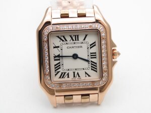 Cartier Panthere Secrete Ladies WJPN0008